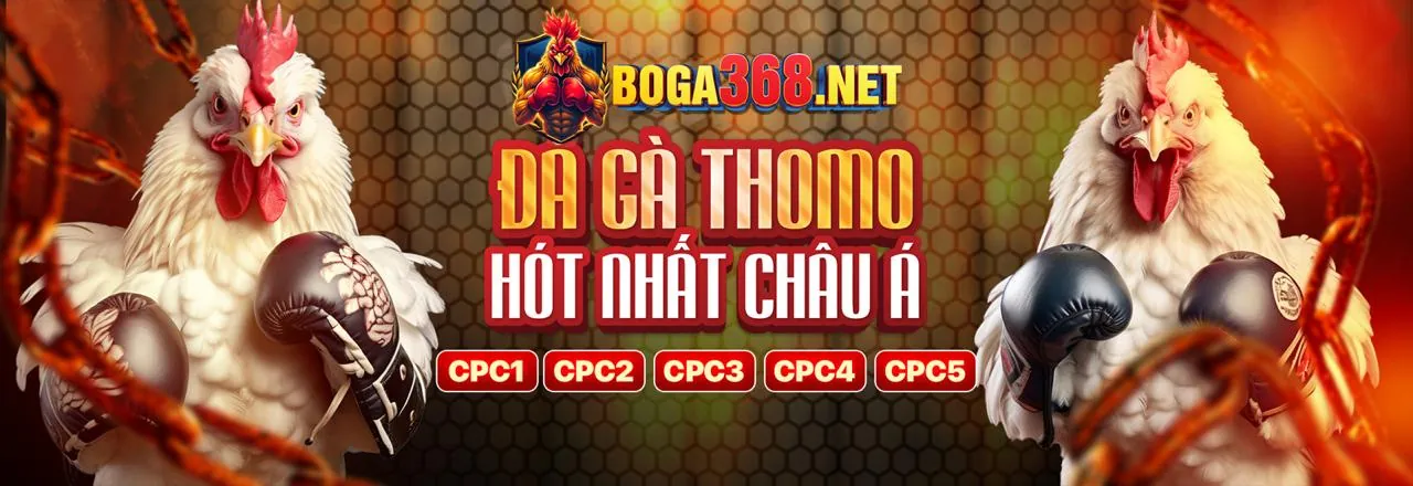 Giải đấu đá gà kịch tính tại mb6 link vào 2026
